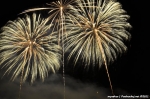 Fotky z Pyrofestu - fotografie 116